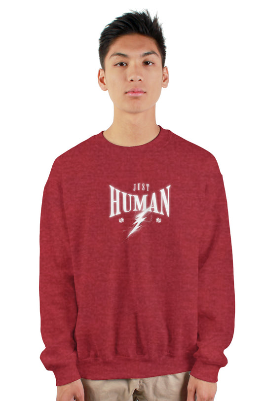 gildan heavy crewneck sweatshirt - Just human